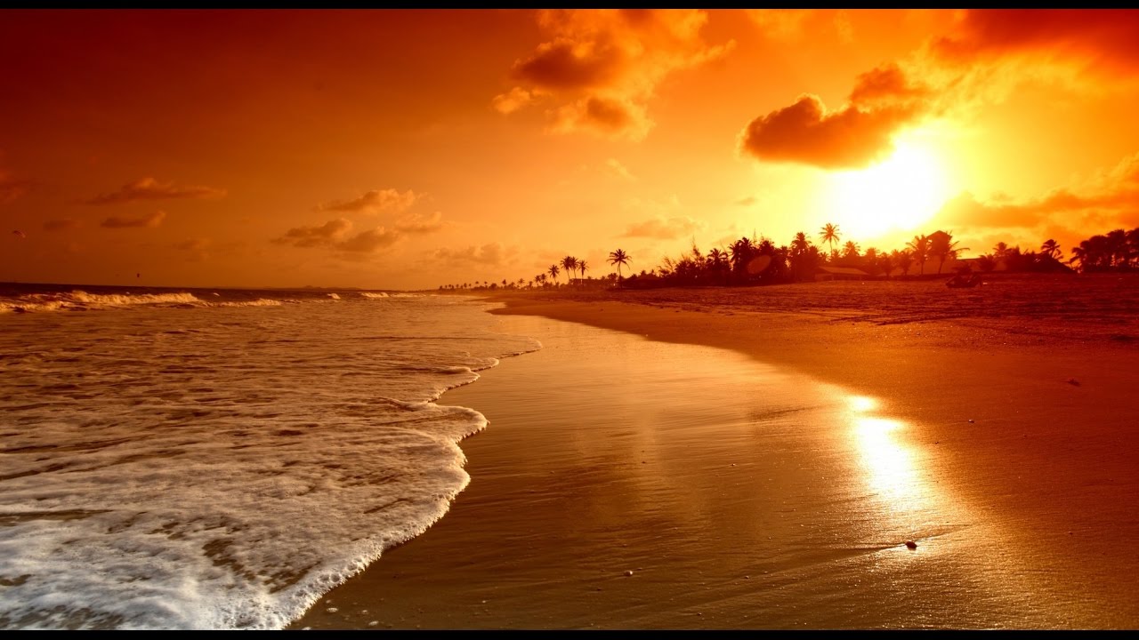 Eaze & Comfort - Palavakkam beach